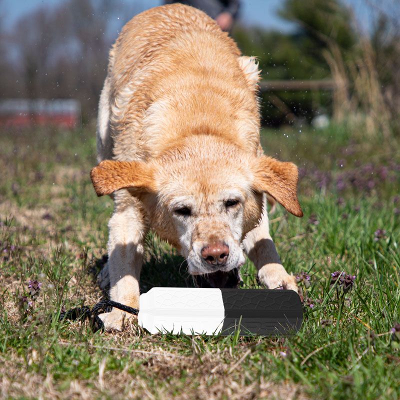MOPIX Mark Dog Training Dummy in Use.