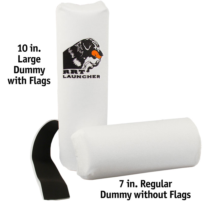Retriev-R-Trainer Dummies