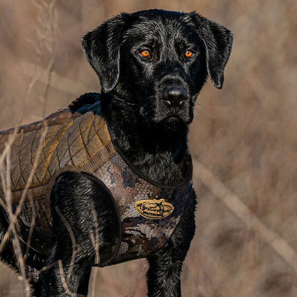 Rig Em Right Bloodline Elite Hunting Dog Vest Optifade Marsh. 79.99.