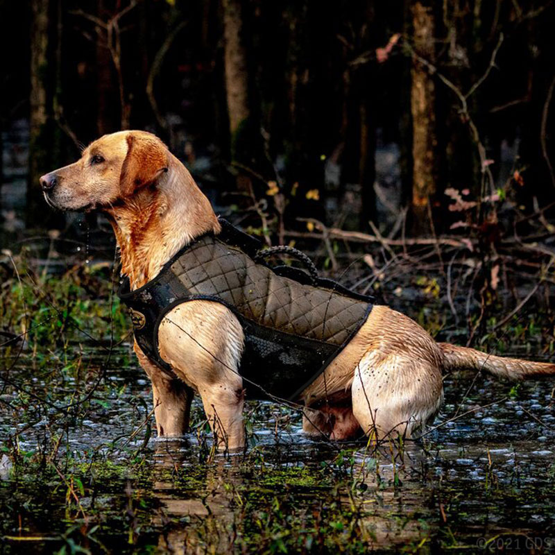 2023 Rig Em Right Bloodline Elite Hunting Dog Vest Optifade Timber