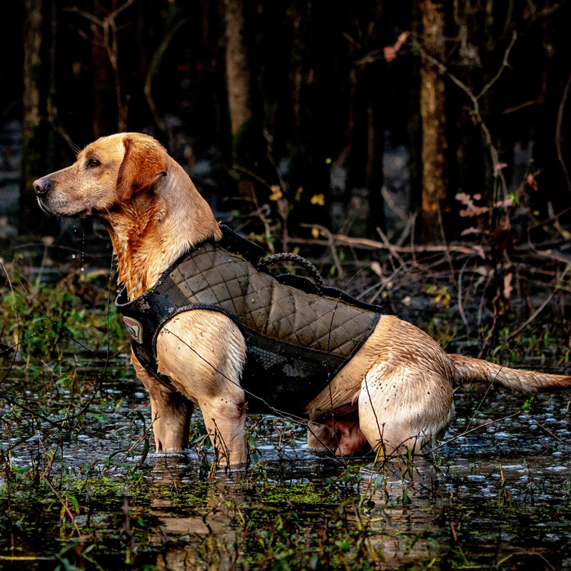 Rig Em Right Bloodline Elite Hunting Dog Vest -- Optifade Timber