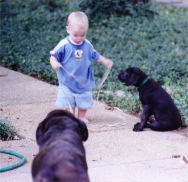 Roxy and Cooper 3