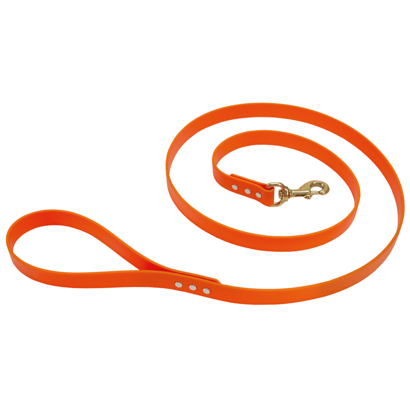 6' Big Dawg Biothane Snap Lead