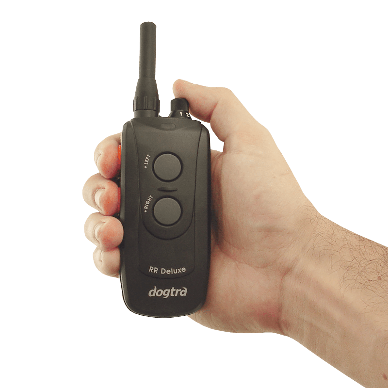 RR Deluxe Transmitter in Hand