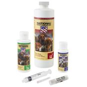  shop Dog Training, Trailing, and Breaking Scents