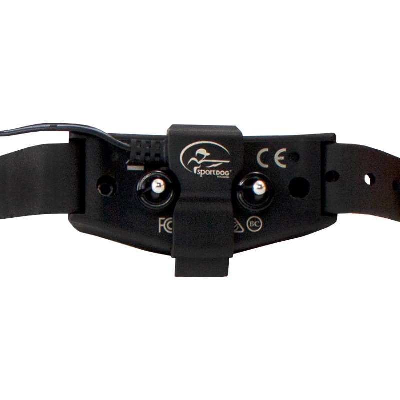 SDF 100C Collar on Charger