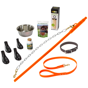 Gun Dog Training Supplies: Essential Gear for Success