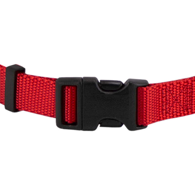 Short Quick Dawg Nylon Collar Front Buckle Detail