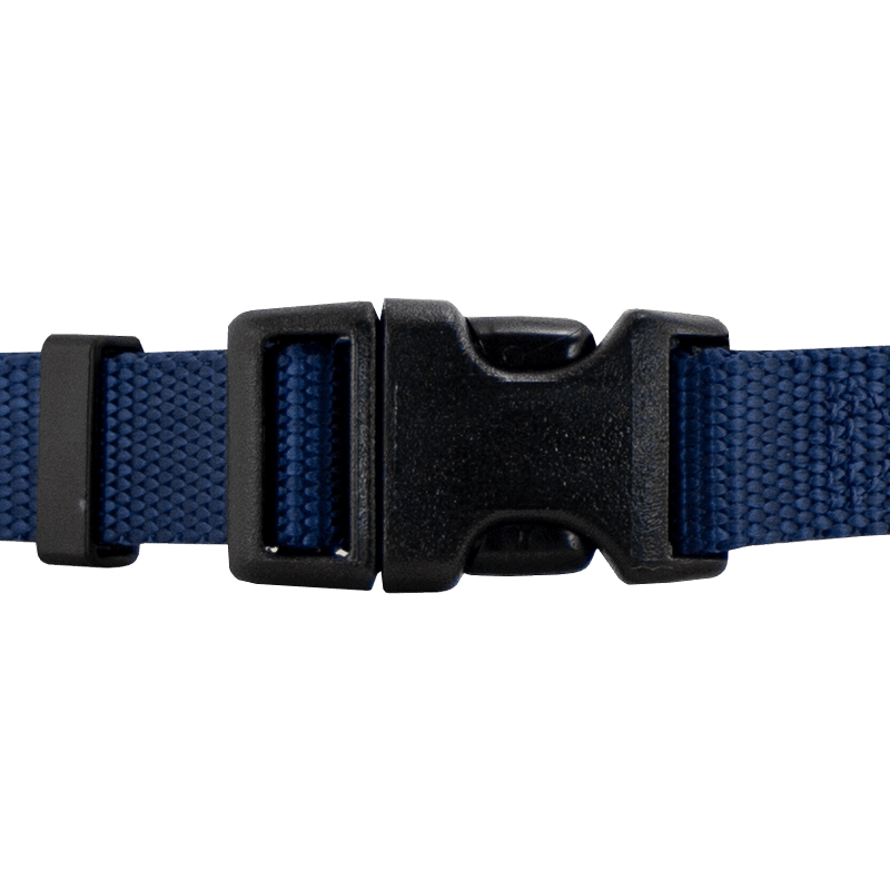 Short Quick Dawg Nylon Collar Front Buckle Detail