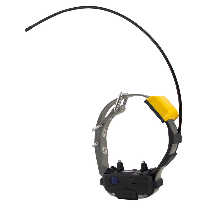 Silver Pathfinder 2 MINI Collar
