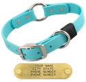SKY BLUE BIG DAWG 1 in. Biothane O-Ring Collar