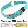 SKY BLUE BIG DAWG 1 in. Biothane O-Ring Collar