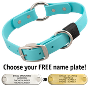  shop SKY BLUE BIG DAWG 1 in. Biothane O-Ring Collar