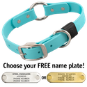 SKY BLUE BIG DAWG 1 in. Biothane O-Ring Collar