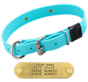SKY BLUE BIG DAWG 1 in. Biothane D-End Collar