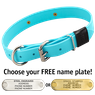 SKY BLUE BIG DAWG 1 in. Biothane D-End Collar