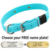  shop SKY BLUE BIG DAWG 1 in. Biothane D-End Collar