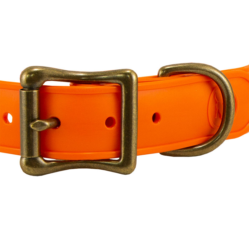 Small -- buckle front detail