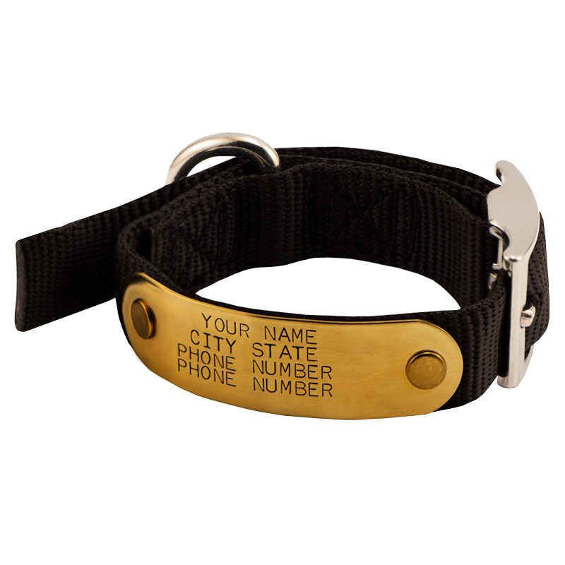 Small Collar with Name Plate in Tightest Position