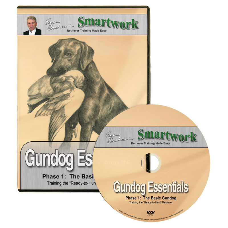 Smartwork Essentials