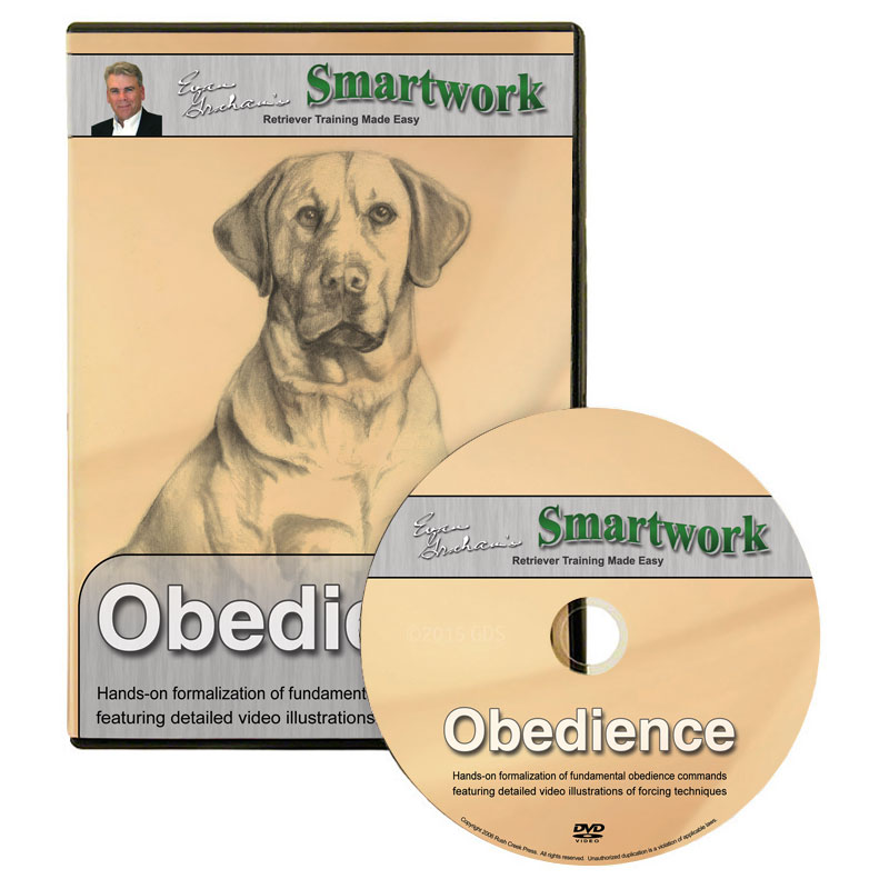 Smartwork Obedience