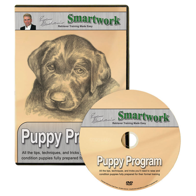 Smartwork Puppy Program