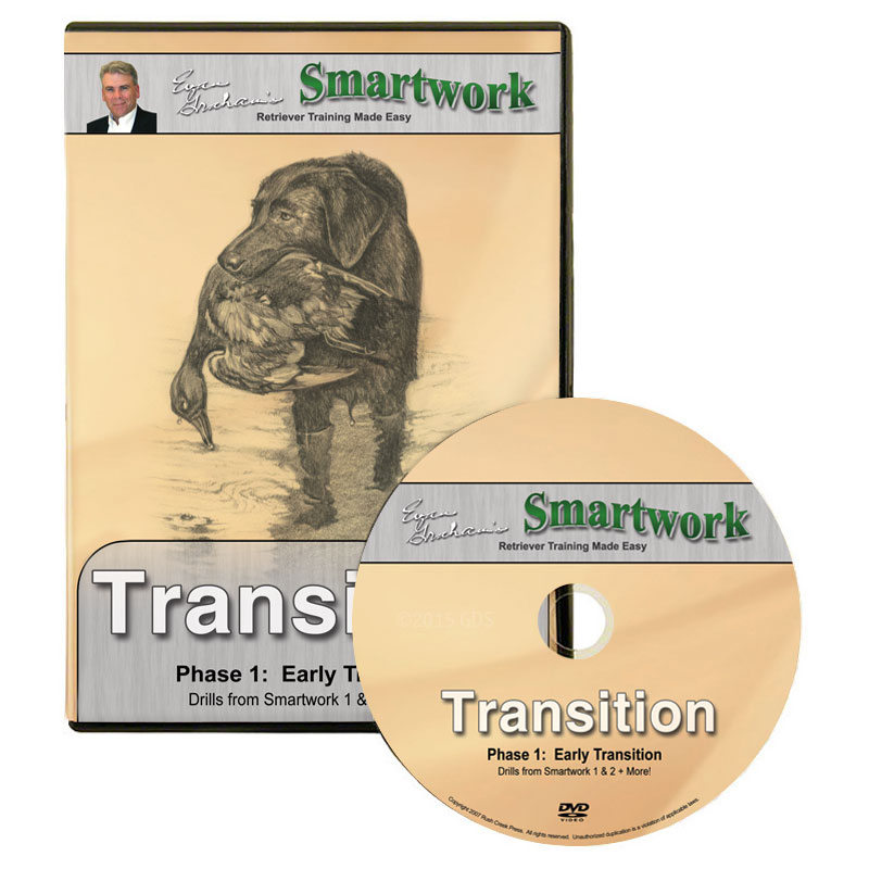 Smartwork Transition Volume 1