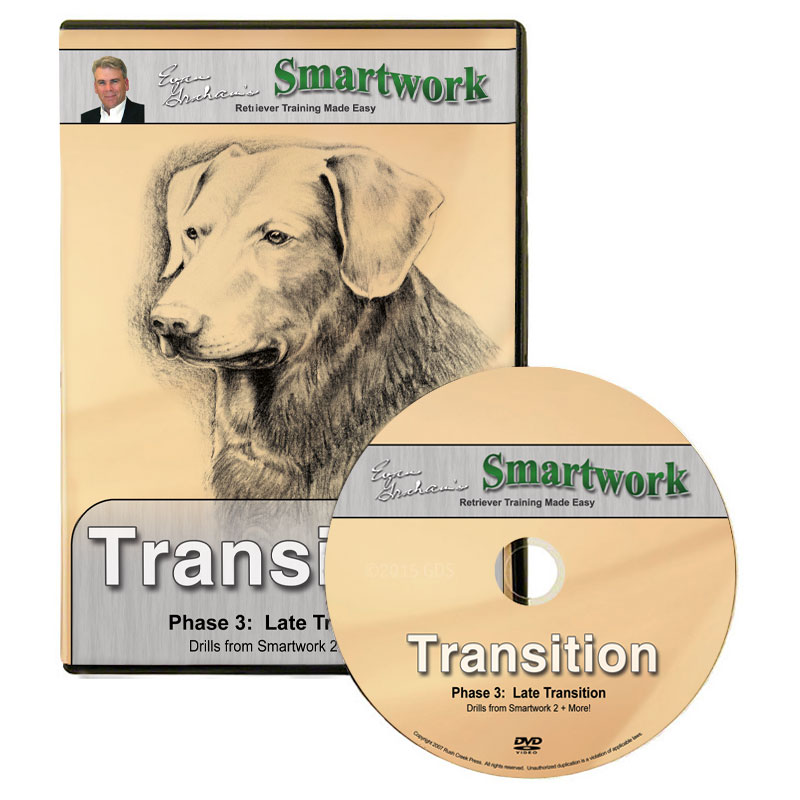 Smartwork Transition Volume 3