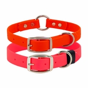 SPECIAL SALE -- BIG DAWG Biothane Dog Collars