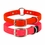 SPECIAL SALE -- BIG DAWG Biothane Dog Collars
