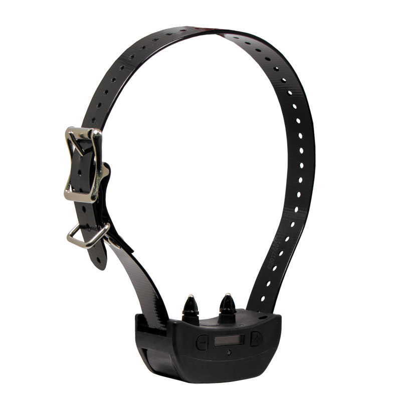 Contain + Train Collar