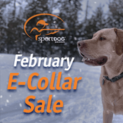  shop SportDOG February Sale