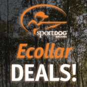 SportDOG Ecollar DEALS!