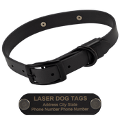  shop STEALTH Dawg -- BLACKOUT 1 in. Biothane Collar with Black Hardware