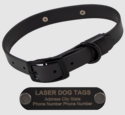 STEALTH Dawg -- BLACKOUT 1 in. Biothane Collar with Black Hardware