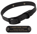 STEALTH Dawg -- BLACKOUT 1 in. Biothane Collar with Black Hardware