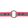 Reflective Biothane Center Ring Collar Ring Detail