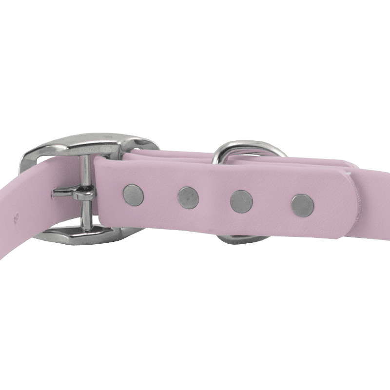 Super Heavy Biothane Standard Collar Buckle Back