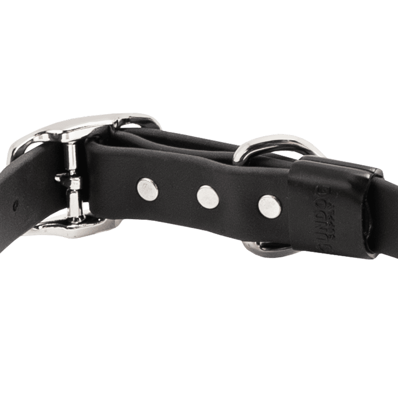 Super Heavy Biothane Standard Collar Buckle Back