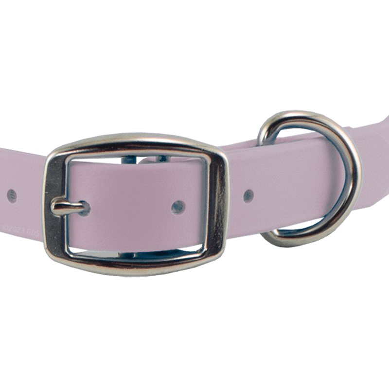 MOPIX Super Heavy Biothane Standard Collar Buckle Front.