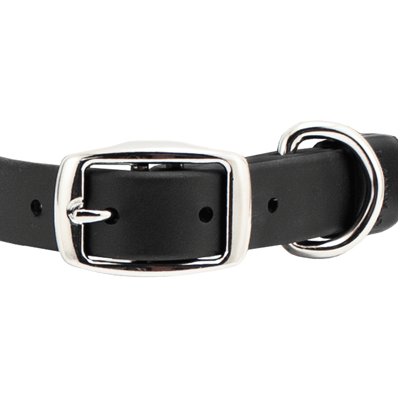 Super Heavy Biothane Standard Collar Buckle Front
