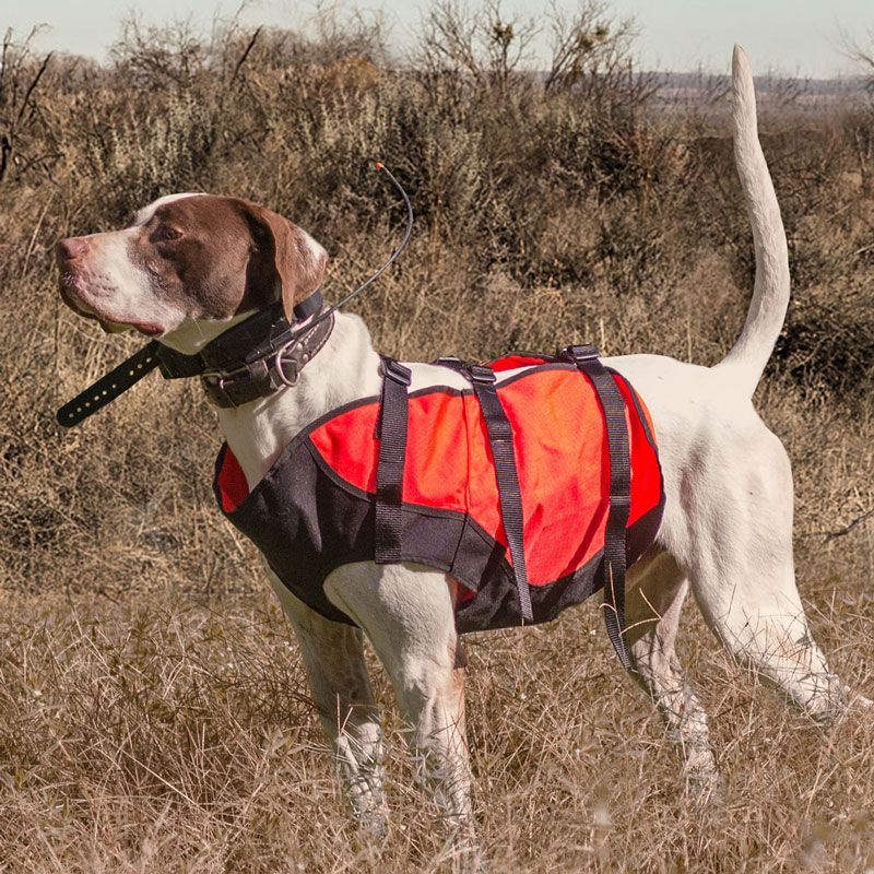 SYLMAR Body Guard Dog Vest ORANGE. 47.95.