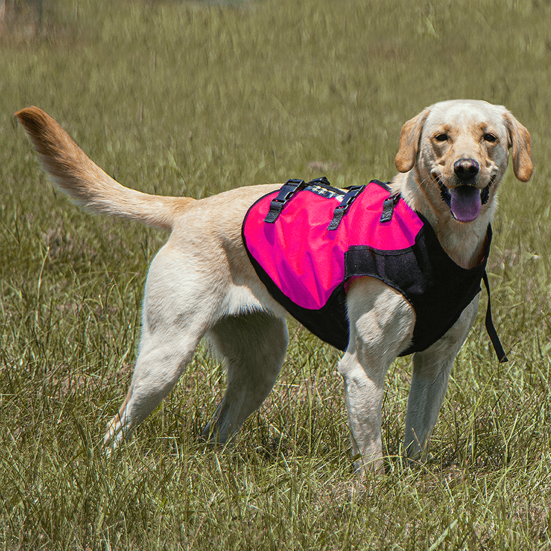 SYLMAR Body Guard Dog Vest – PINK. $47.95.