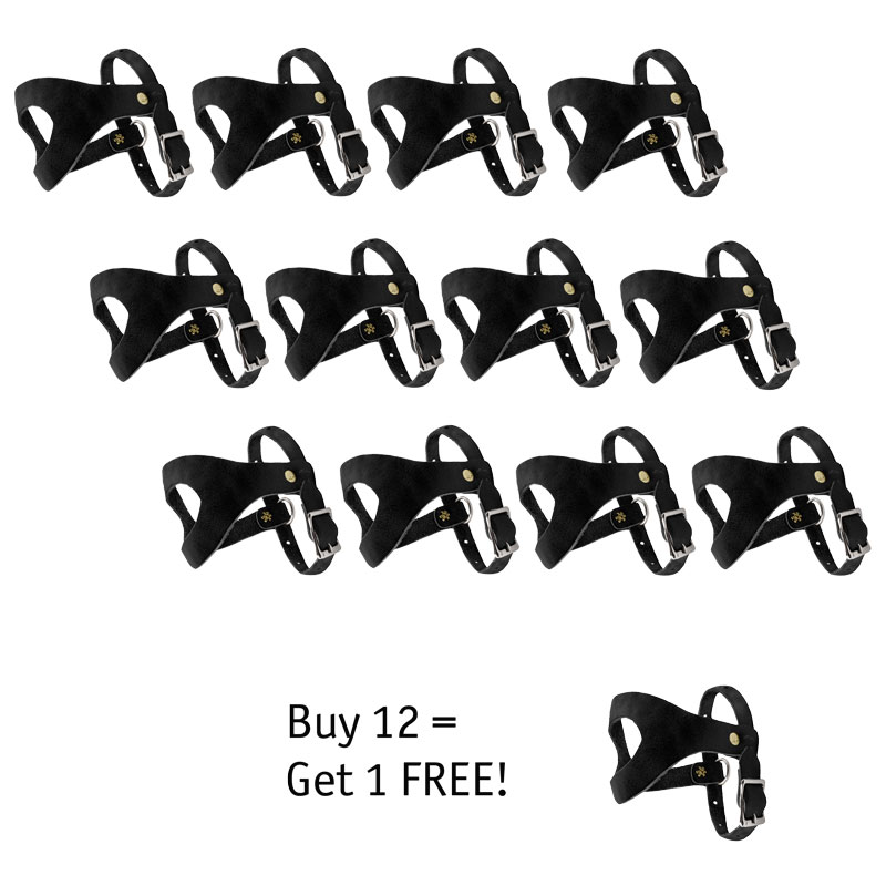 TBI Pheasant Harness Club Discount BUY 12 GET 1 FREE! Gun Dog Supply