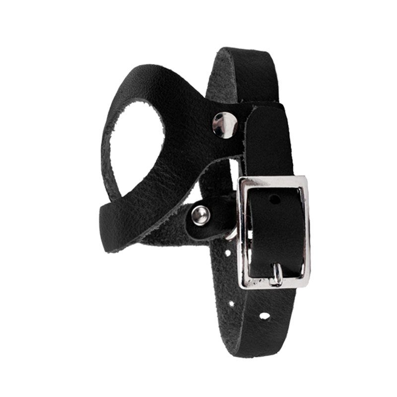 Pigeon Harness TBI. 7.95.