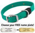TEAL BIG DAWG 1 in. Biothane Standard Collar