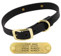 BLACK BRASS DAWG 1 in. Biothane Standard Collar