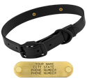 THE BIG DAWG -- BLACKOUT 1 in. 2-Groove Biothane Standard Collar