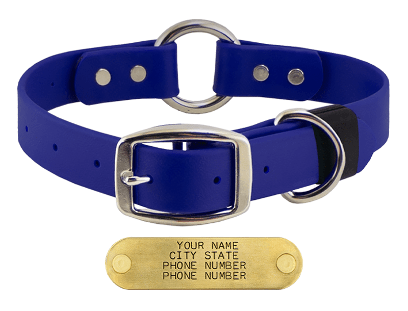 ROYAL BLUE BIG DAWG 1 in. SuperHeavy Biothane ORing Collar. 16.99.