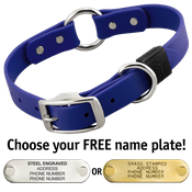  shop ROYAL BLUE BIG DAWG 1 in. Biothane O-Ring Collar